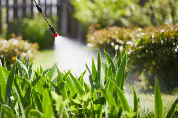 24/7 Emergency Mosquito Control experts in Lake Wildwood, CA